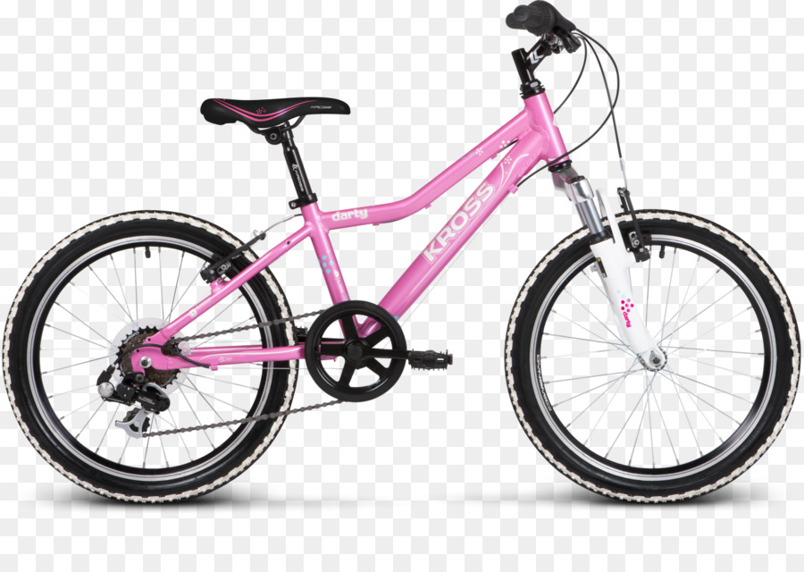 Bicicleta Rosa，Bicicleta PNG