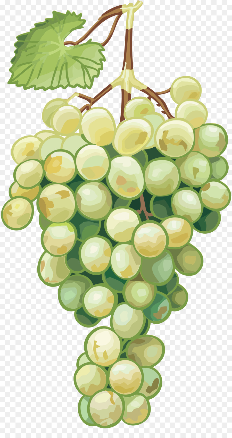 Uvas，Verde PNG