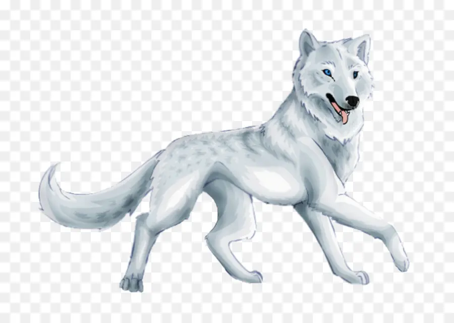 Lobo Branco，Canino PNG