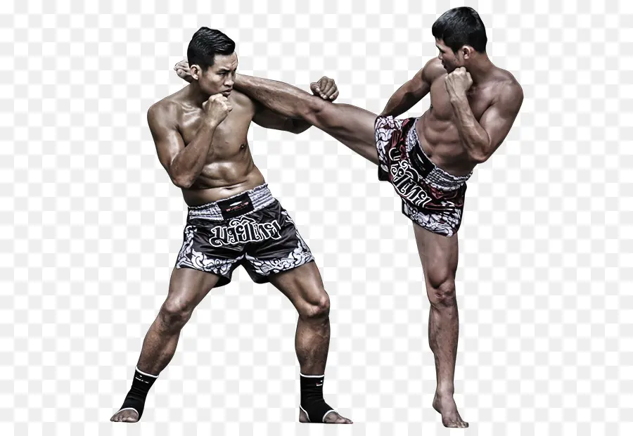 Muay Thai，Brasileiro De Jiujitsu PNG