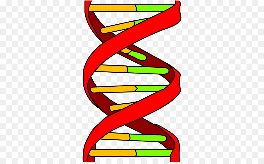 Dna，ícones Do Computador PNG