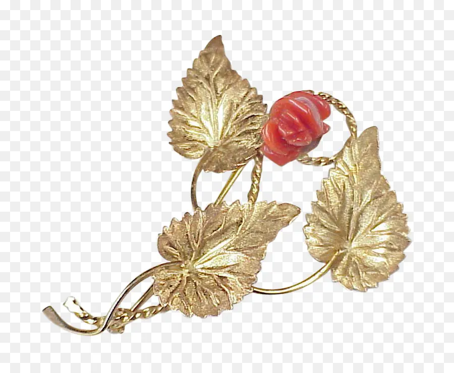 Broche De Ouro，Folhas PNG