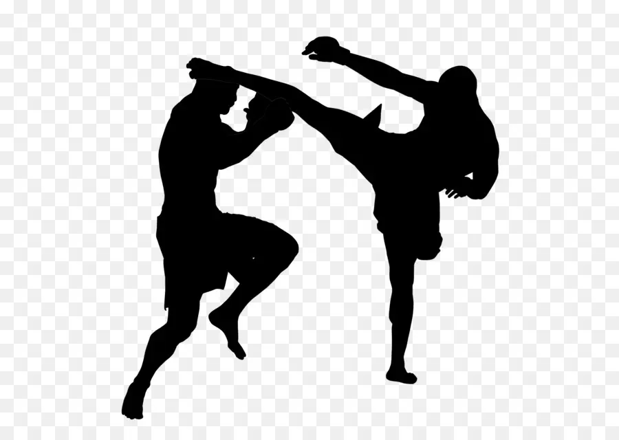 Artes Marciais，Combate PNG