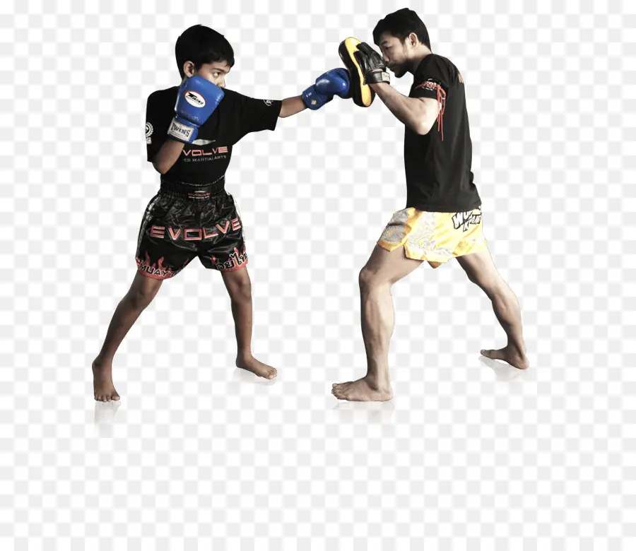 Kickboxing，Luva De Boxe PNG