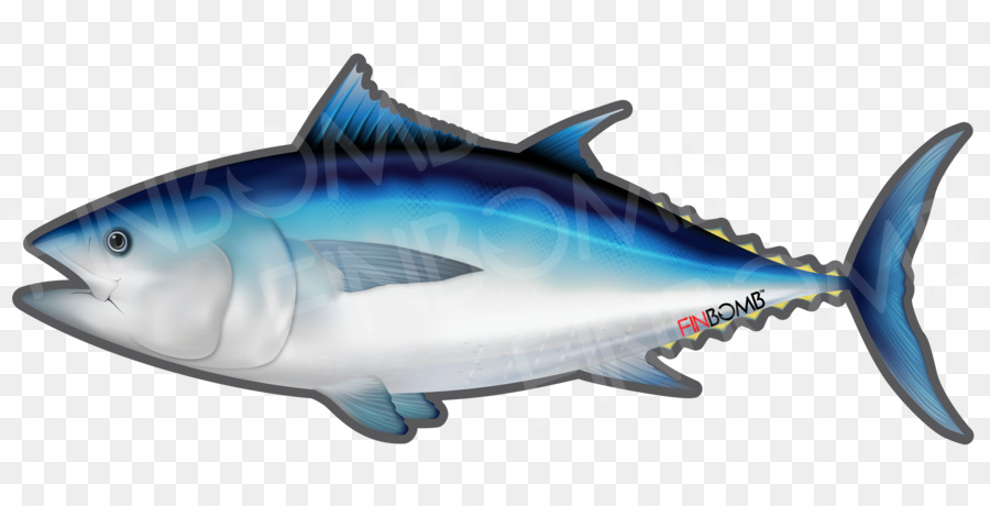 Thunnus，Sushi PNG