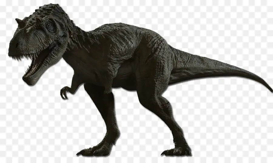 Dinossauro Rei，Albertosaurus PNG