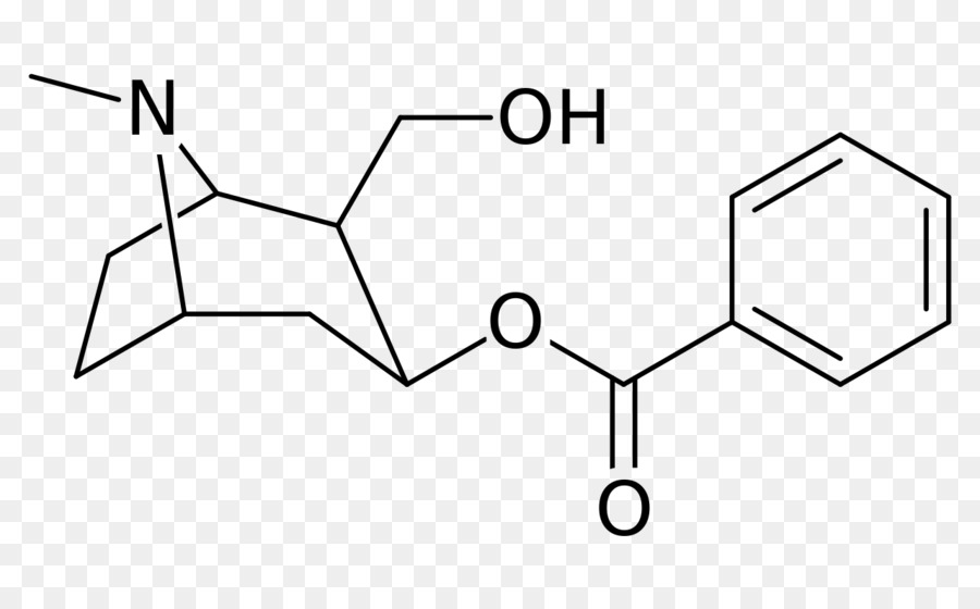 Estrutura Química，Orgânico PNG