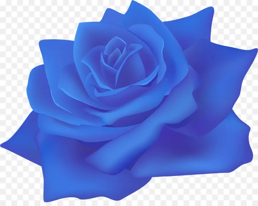 Rosa Azul，Pétalas PNG