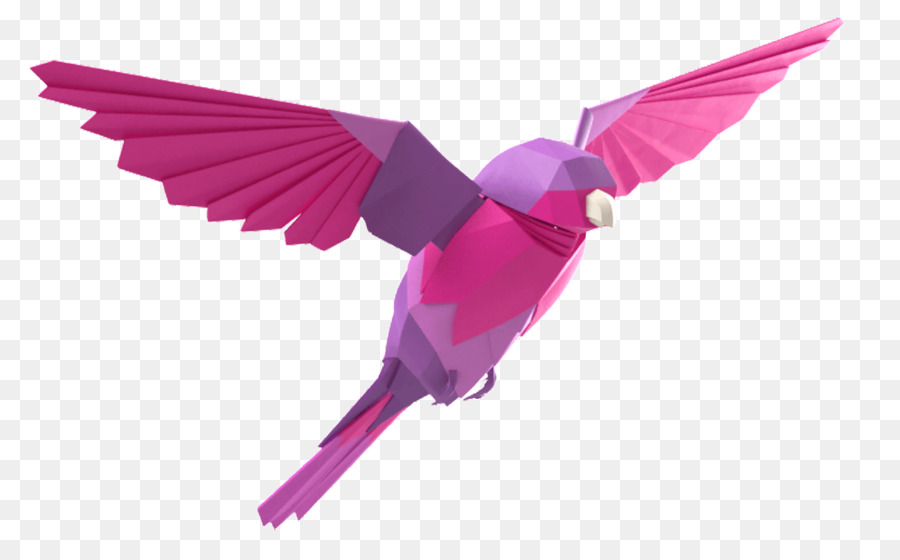 Colibri，Vôo PNG