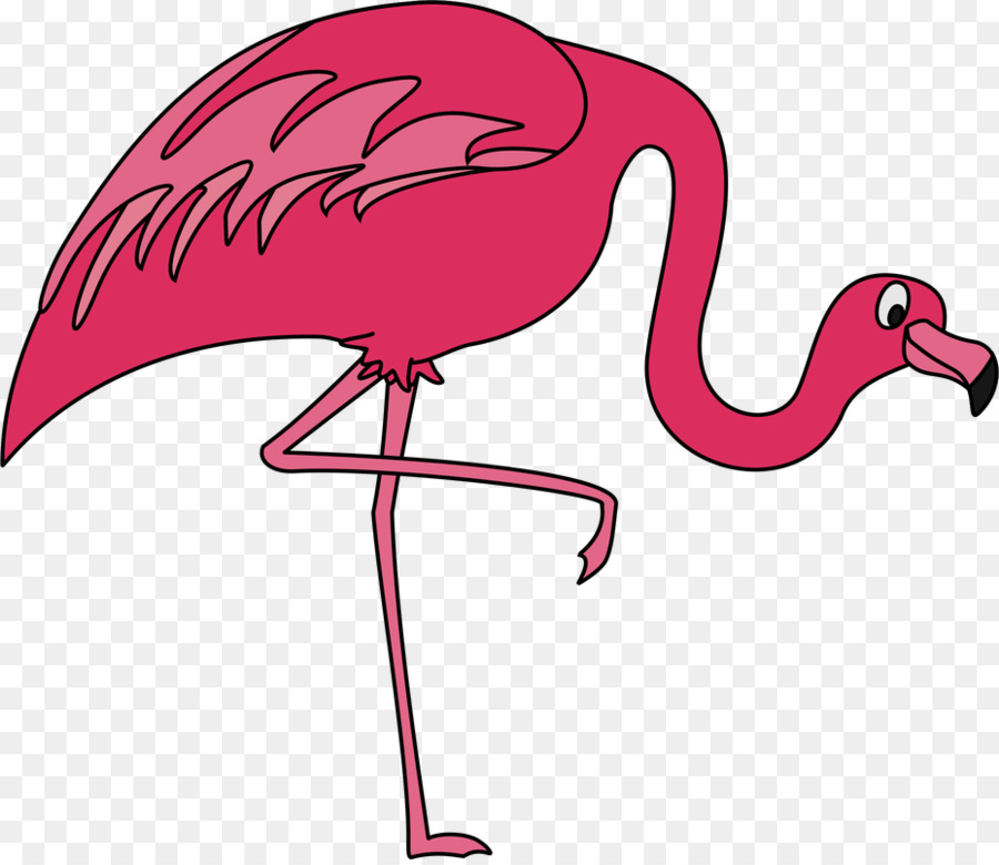 Flamingo，Arte De Linha PNG