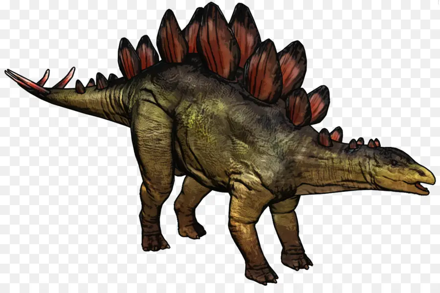 Stegosaurus，Triceratops PNG