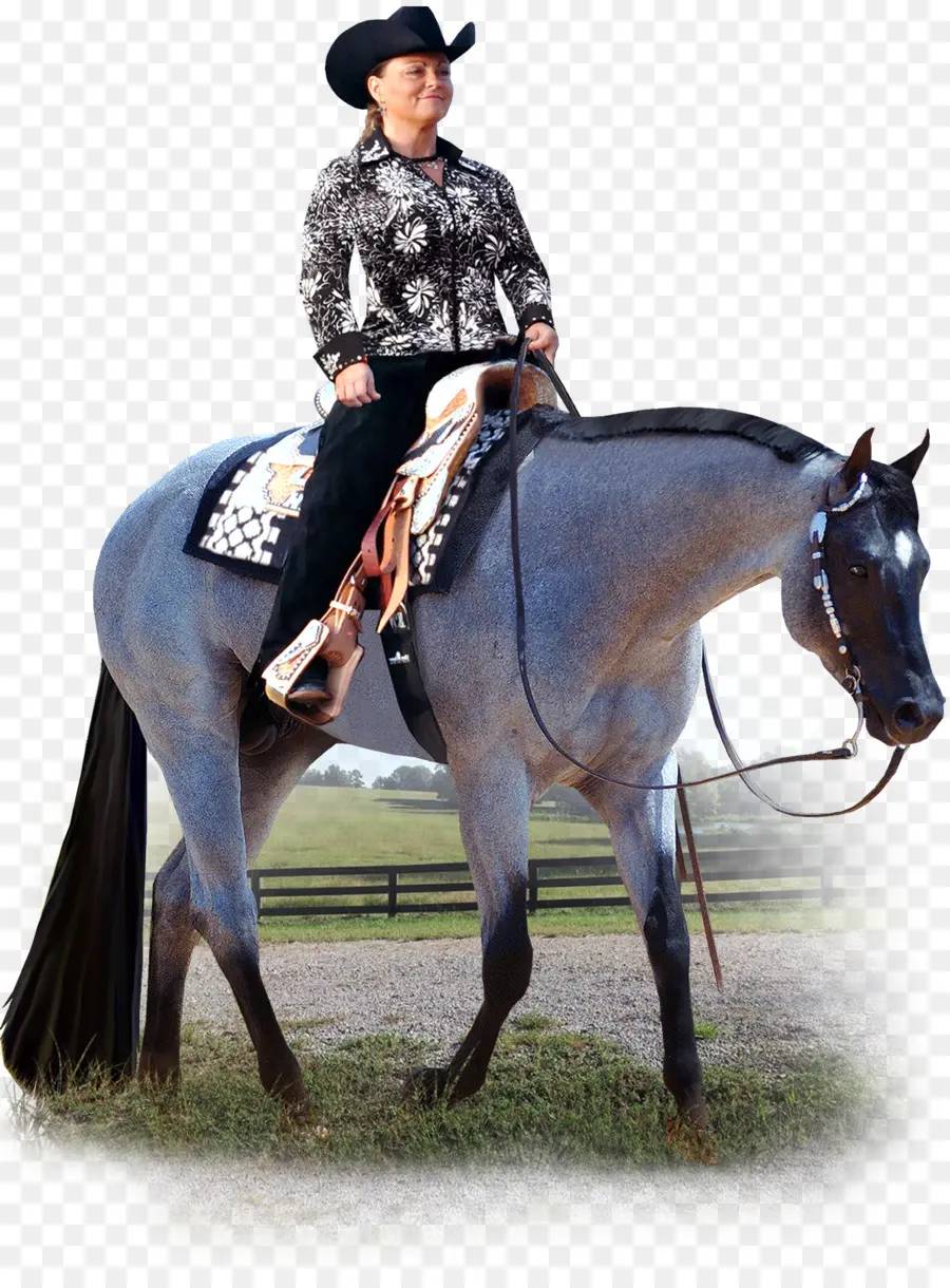 Cavaleiro，Cavalo PNG