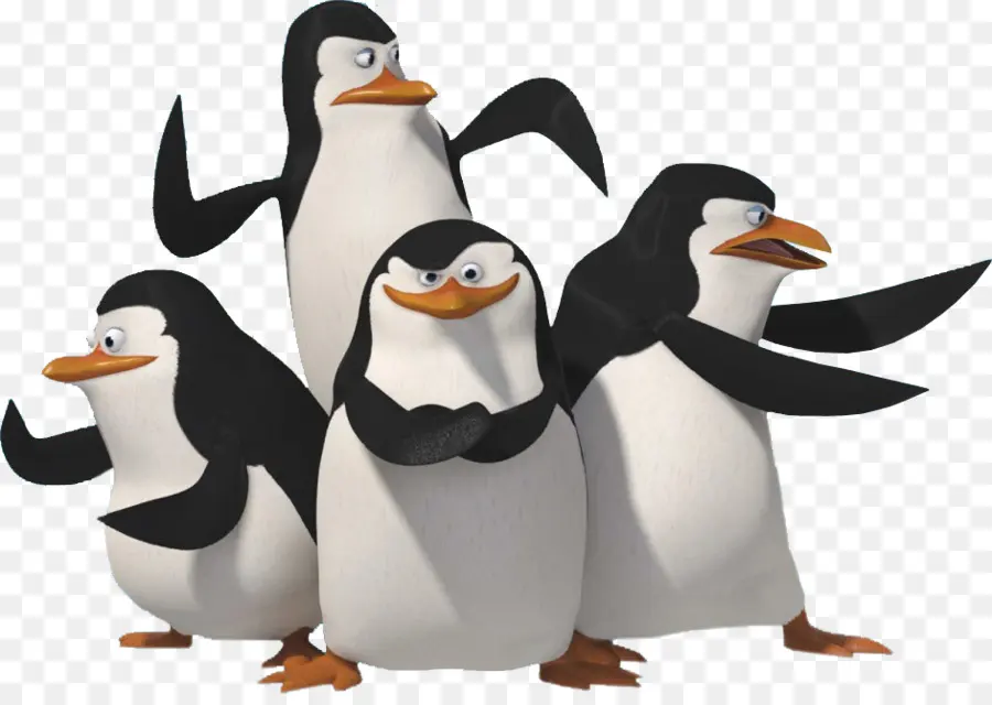 Pinguins，Pássaros PNG