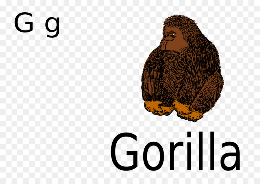 Gorila，Primata PNG