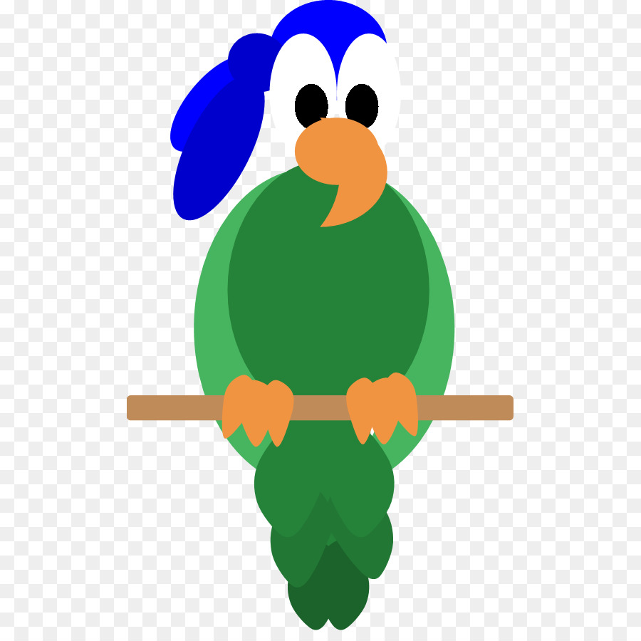 Aves，Bico PNG