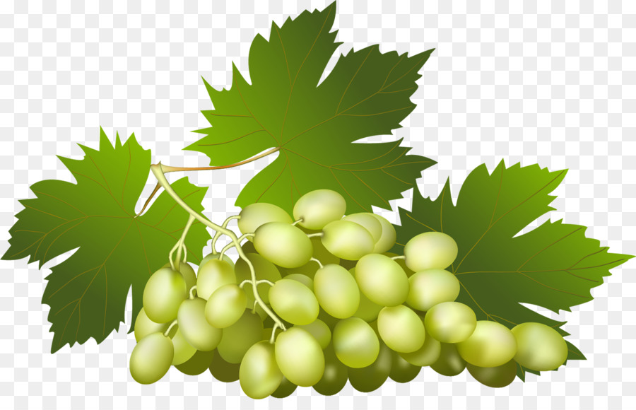 Uvas，Verde PNG