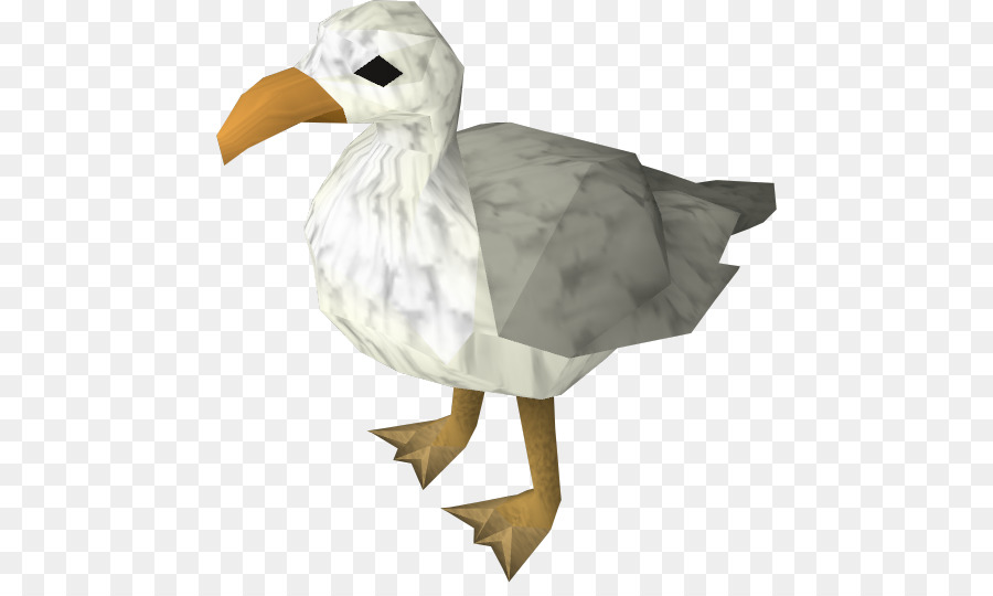 Runescape，Aves PNG