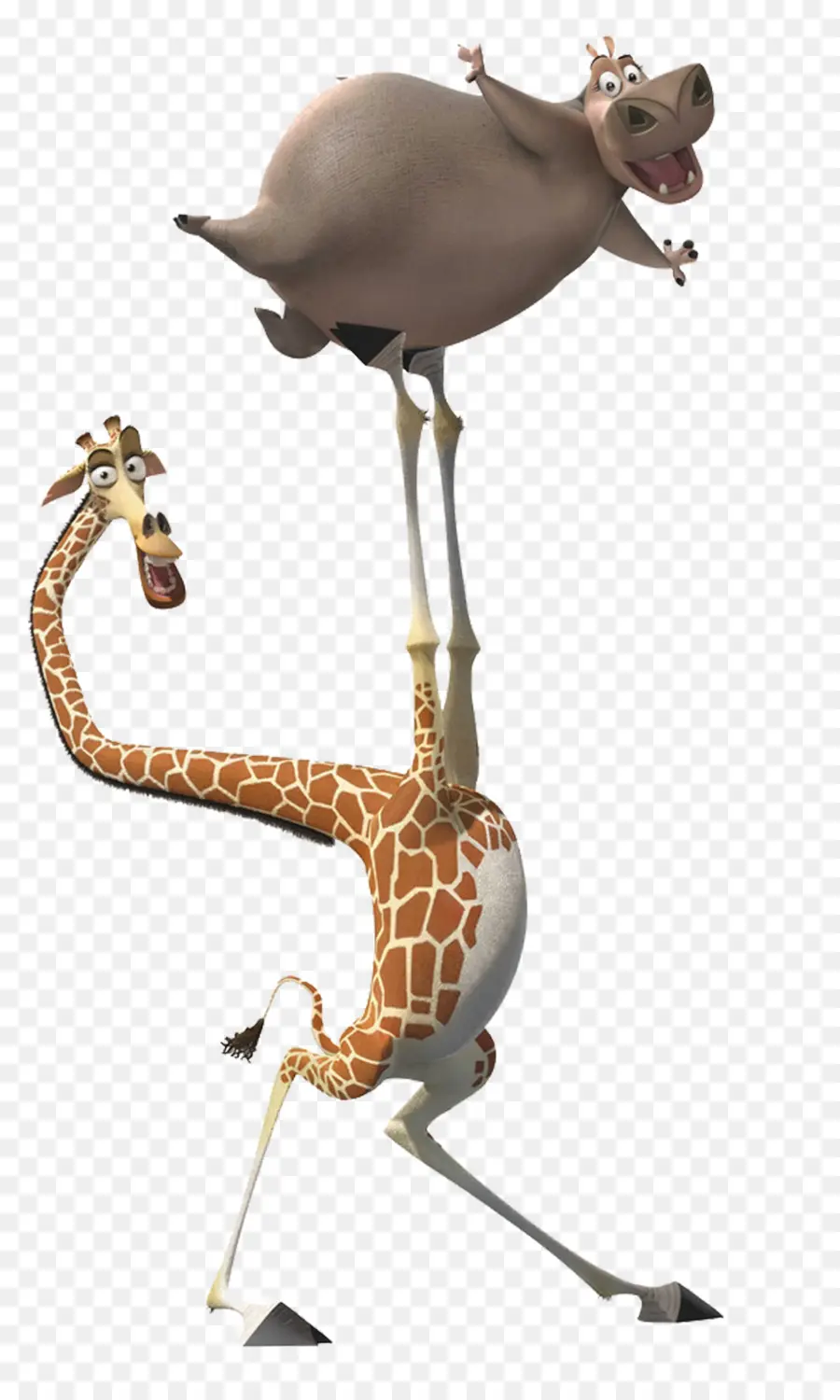 Girafa E Hipopótamo，Animado PNG