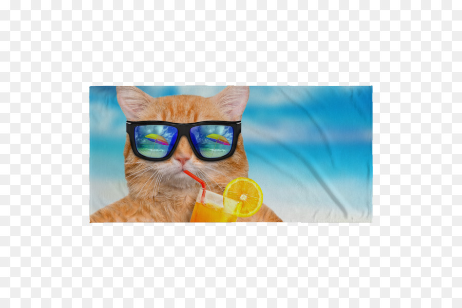 Gato，Youtube PNG