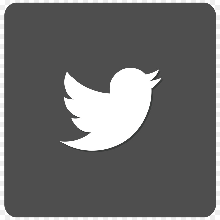 Logotipo Do Twitter，Mídia Social PNG