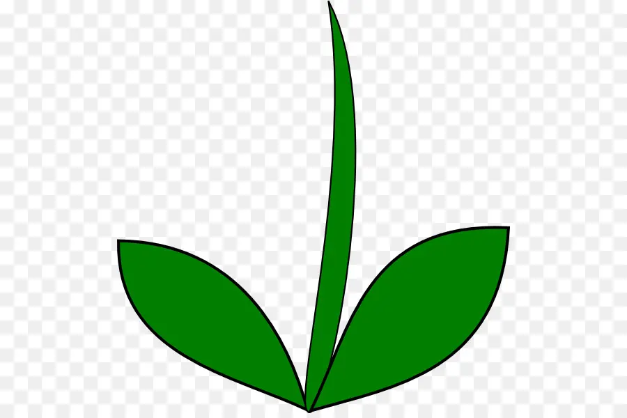 Planta De Haste，Flor PNG