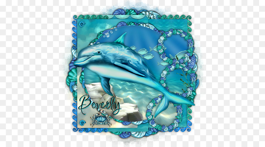 Dolphin，Aqua PNG