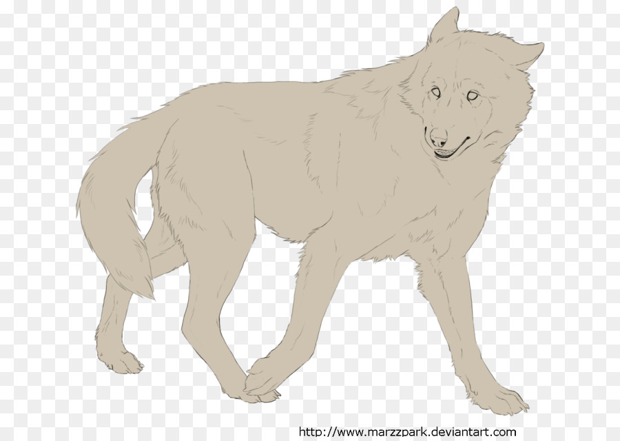 Lobo Andando，Cão PNG