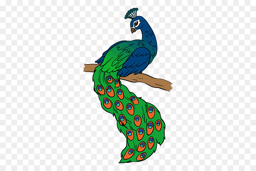 Desenho，Peafowl PNG
