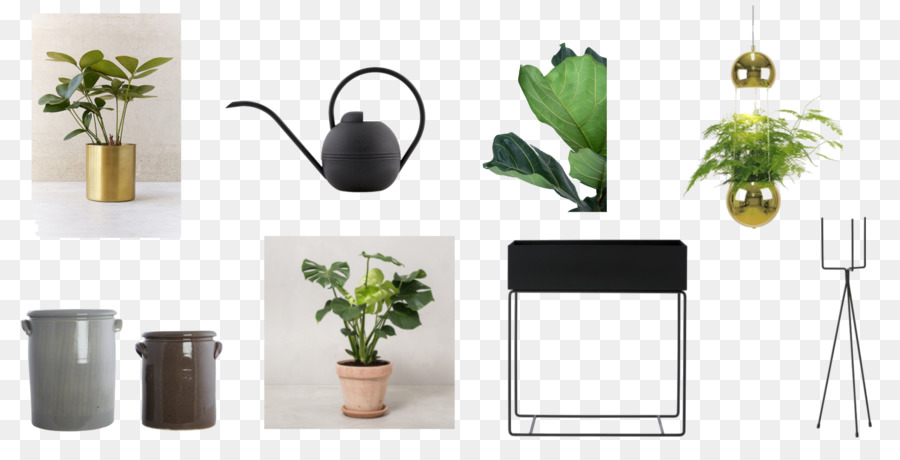 Plantas，Potes PNG