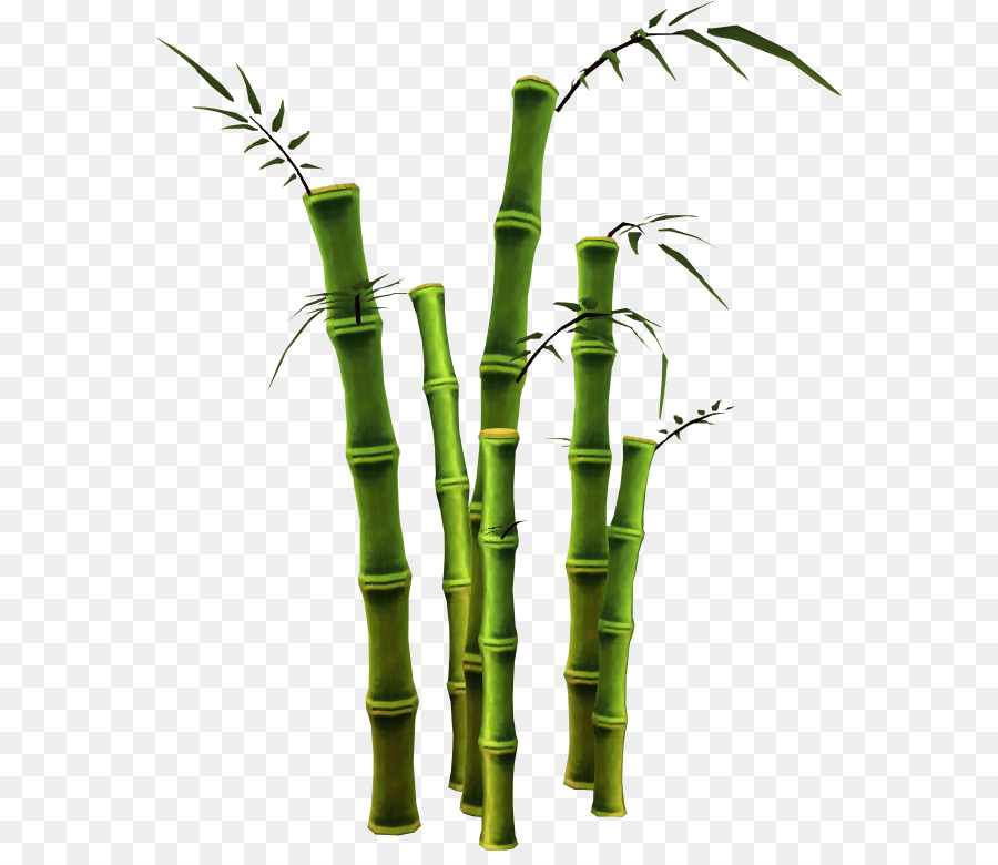 Bambu，ícones Do Computador PNG