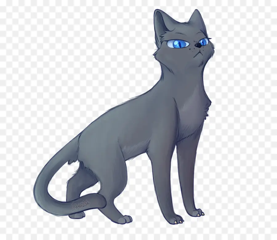 Gato Cinzento，Olhos Azuis PNG