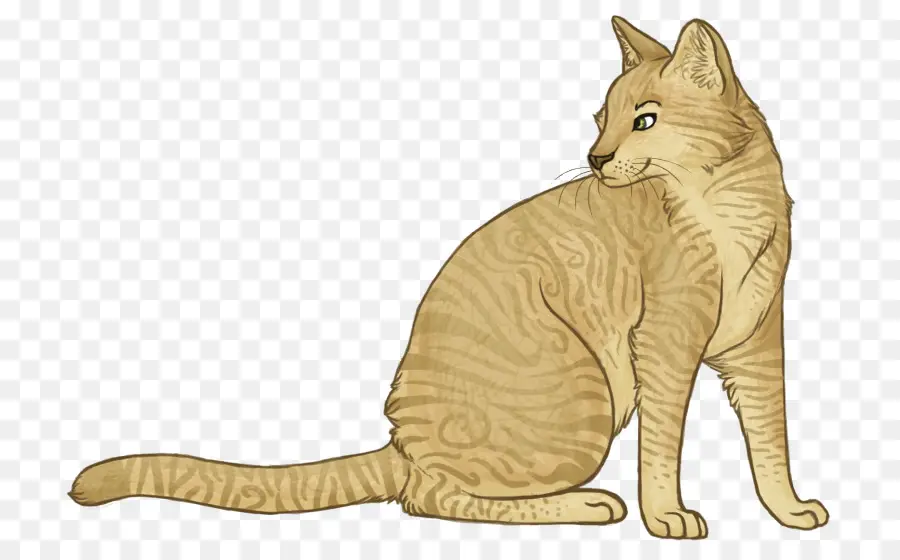 Gato Sentado，Felino PNG