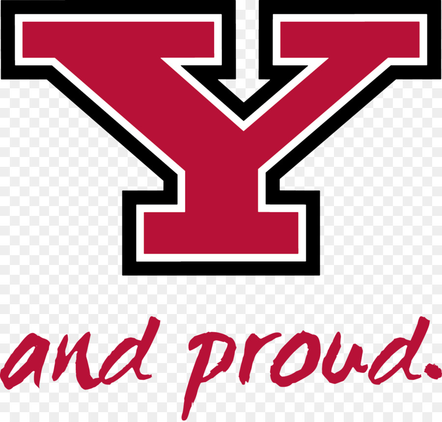 Youngstown State University，Youngstown State Pinguins De Futebol PNG