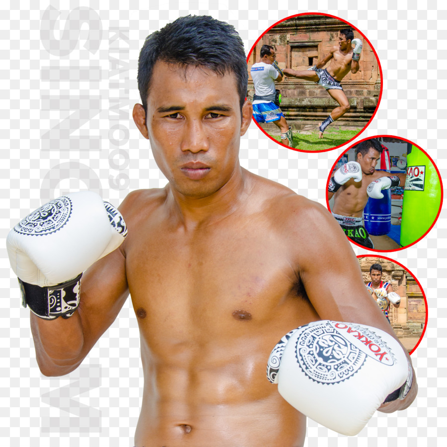 Boxer，Luvas De Boxe PNG