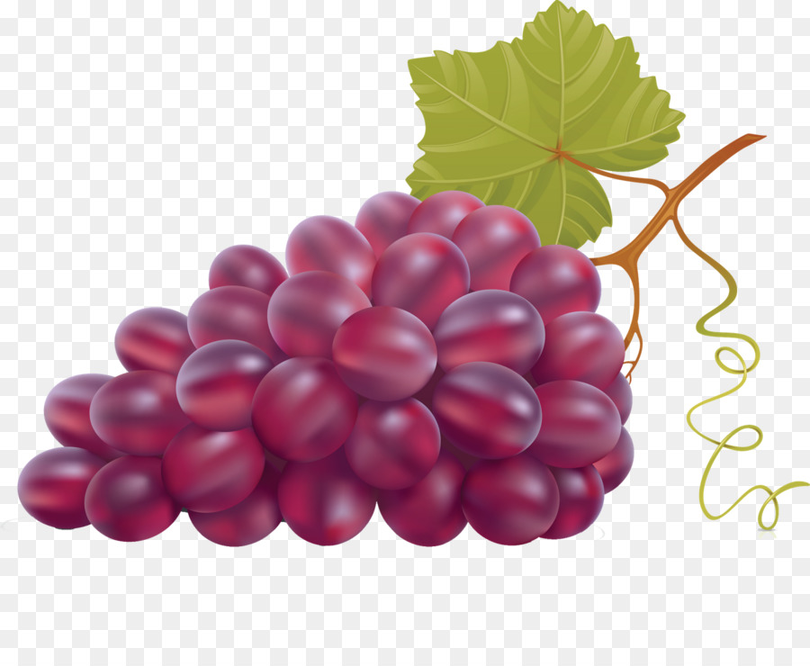 Uvas，Videira PNG