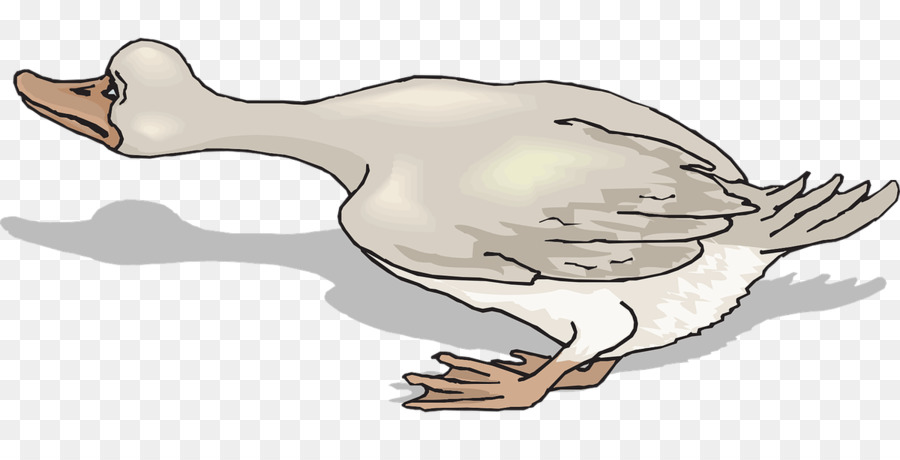 Pato，Ganso PNG