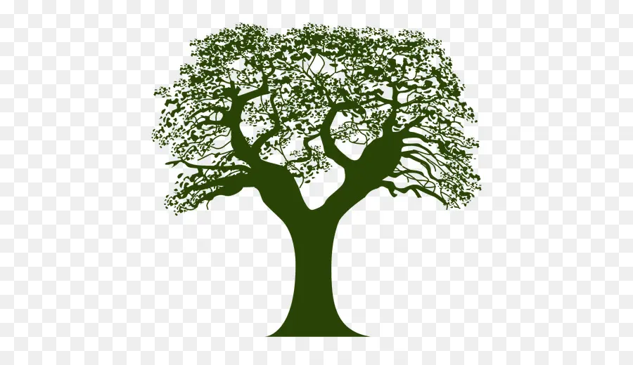 árvore，Encapsulated Postscript PNG