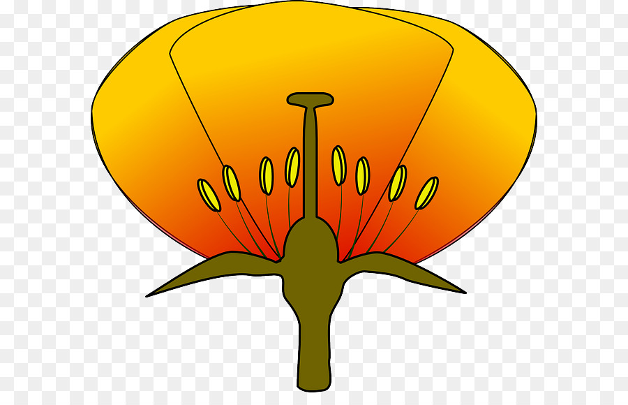 Flor，Diagrama De PNG