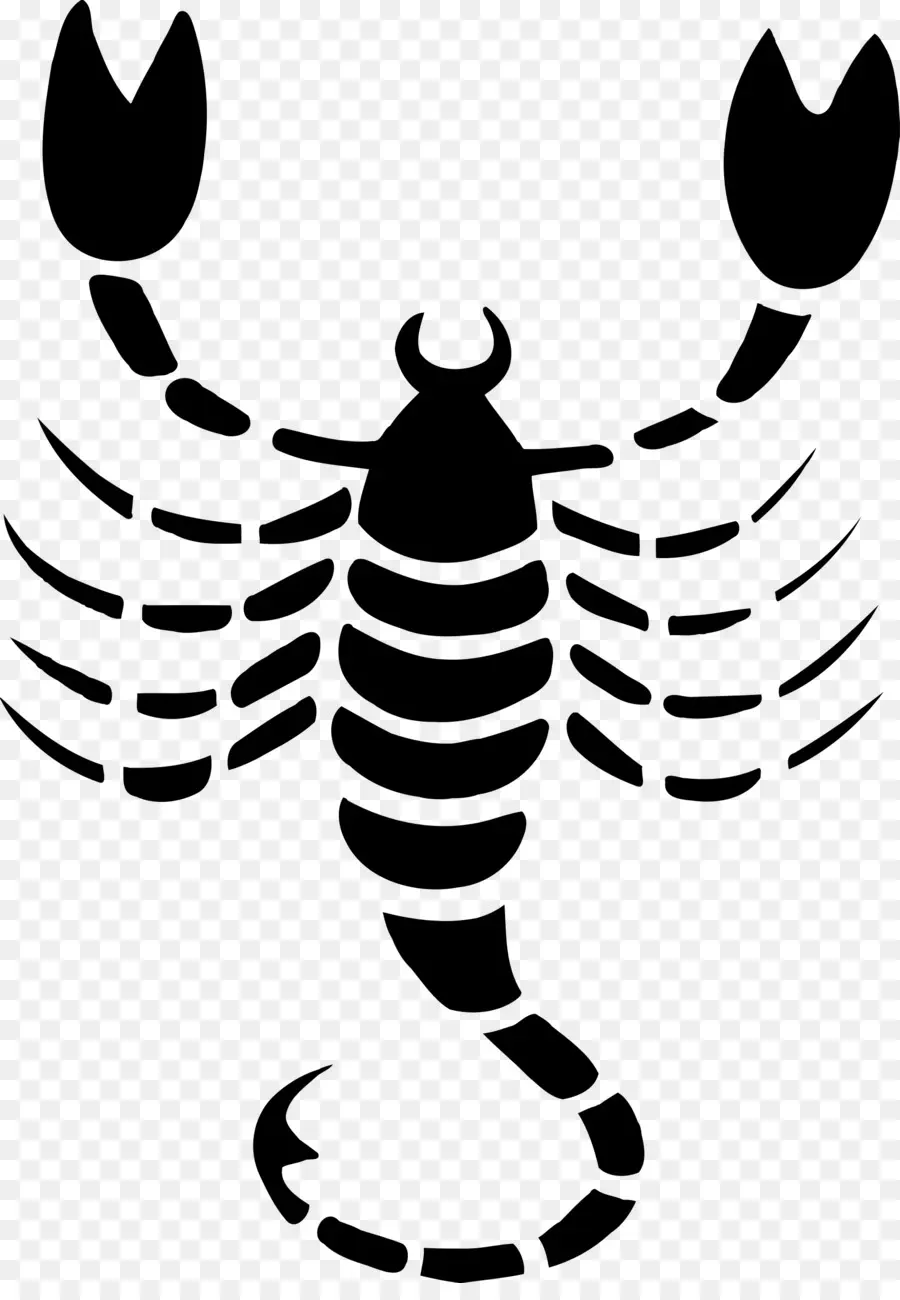 Escorpião，Signo Astrológico PNG