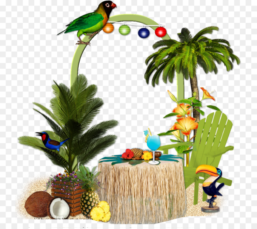 Decoração Tropical，Tropical PNG