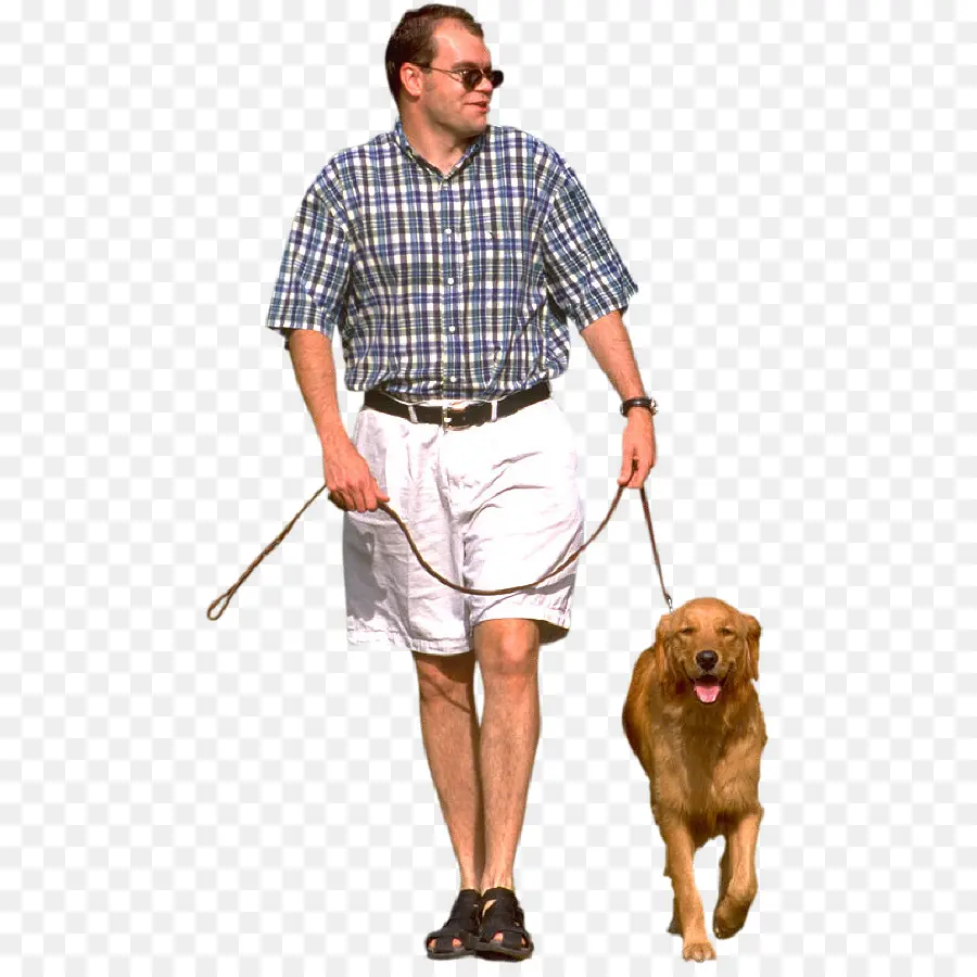 Homem Passeando Com Cachorro，Coleira PNG