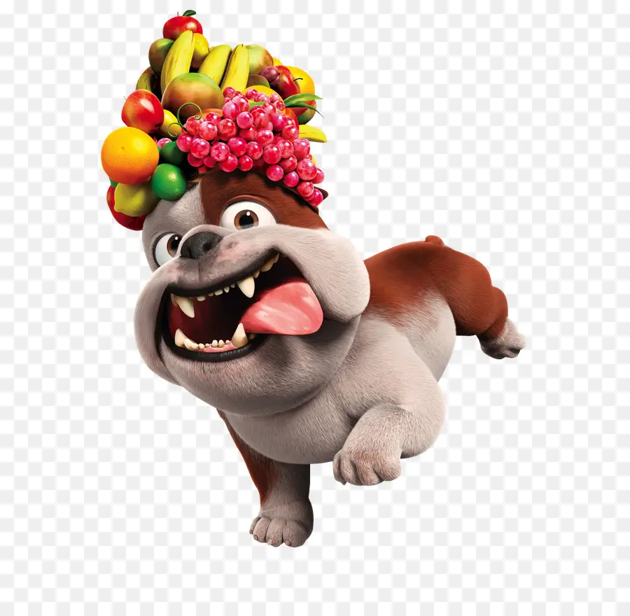 Buldogue，Chapéu De Fruta PNG