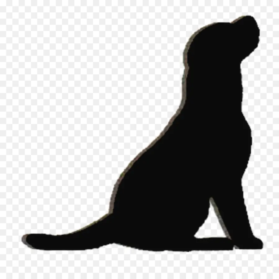 Labrador Retriever，Filhote De Cachorro PNG