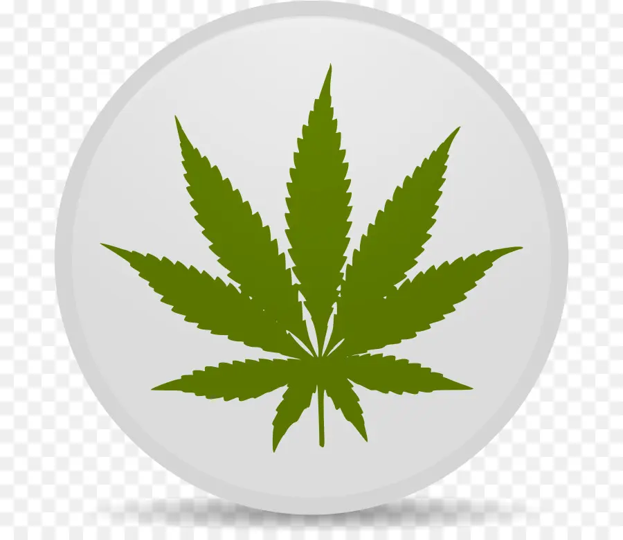 Folha De Cannabis，Maconha PNG