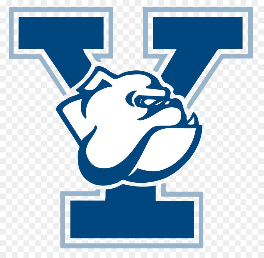 A Universidade De Yale，Yale Bulldogs Futebol PNG