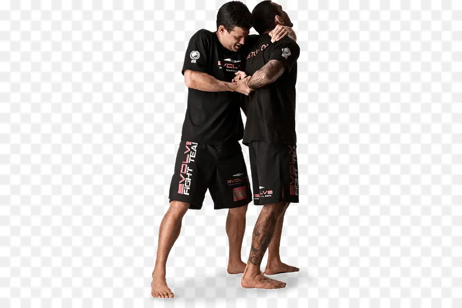 Artes Marciais，Lutar PNG