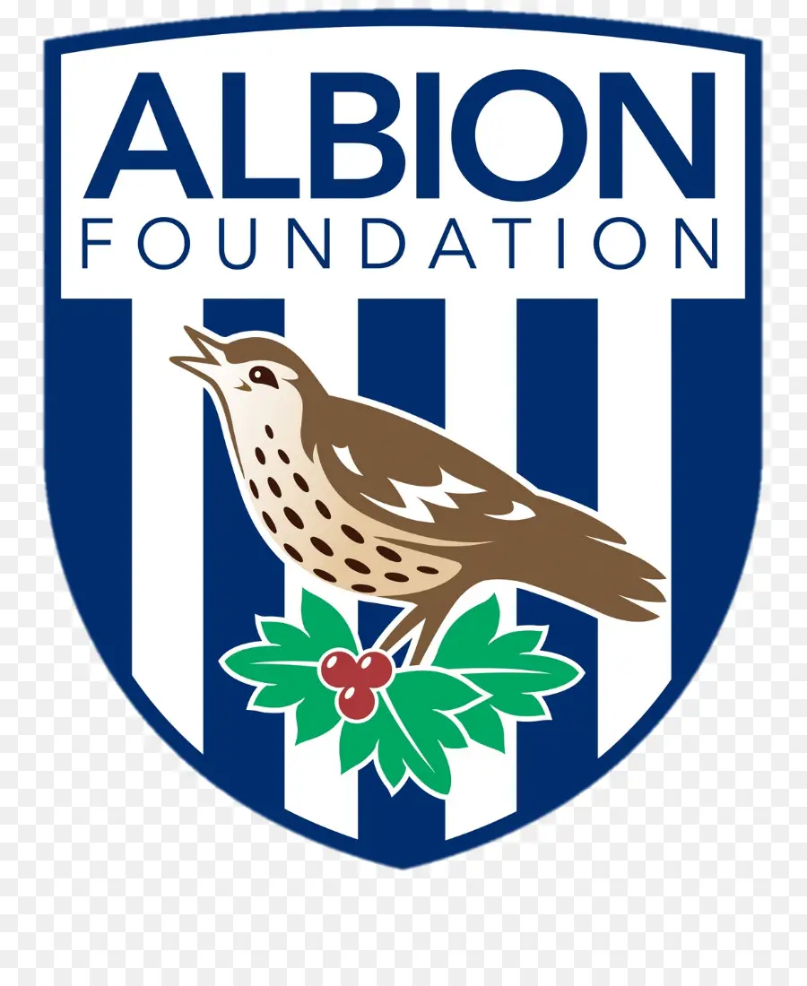 Fundação Albion Logo，Organização PNG