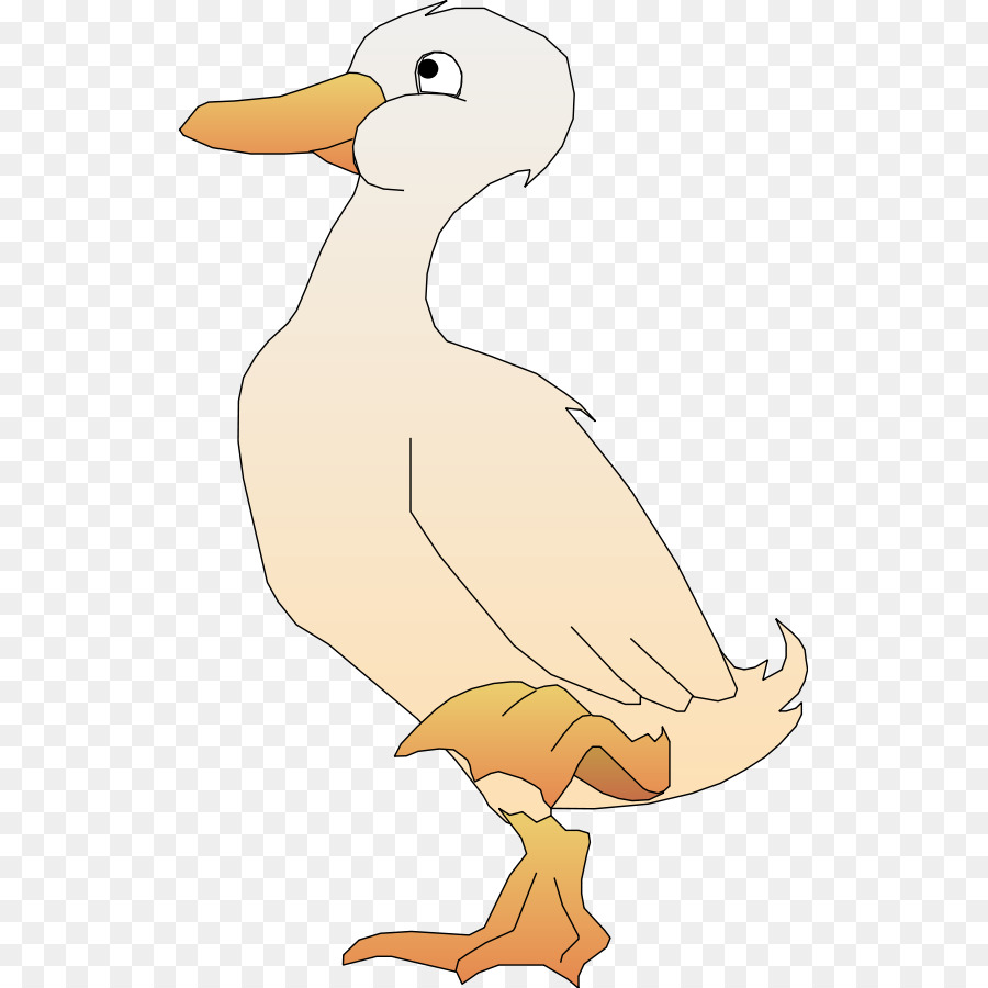 Pato，Bico PNG