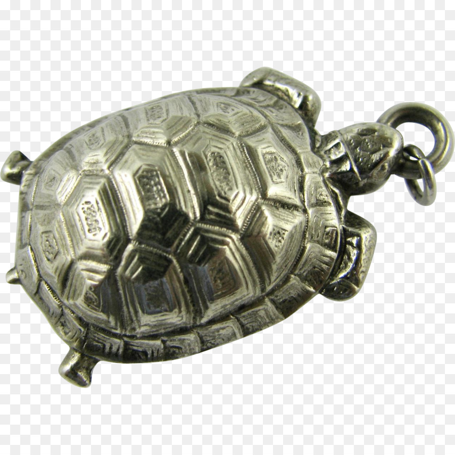 Turtle，Répteis PNG