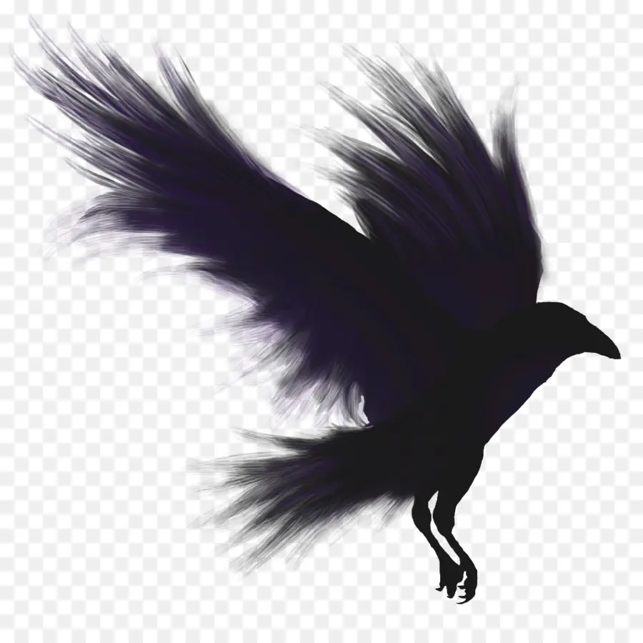 Aves，Voo PNG